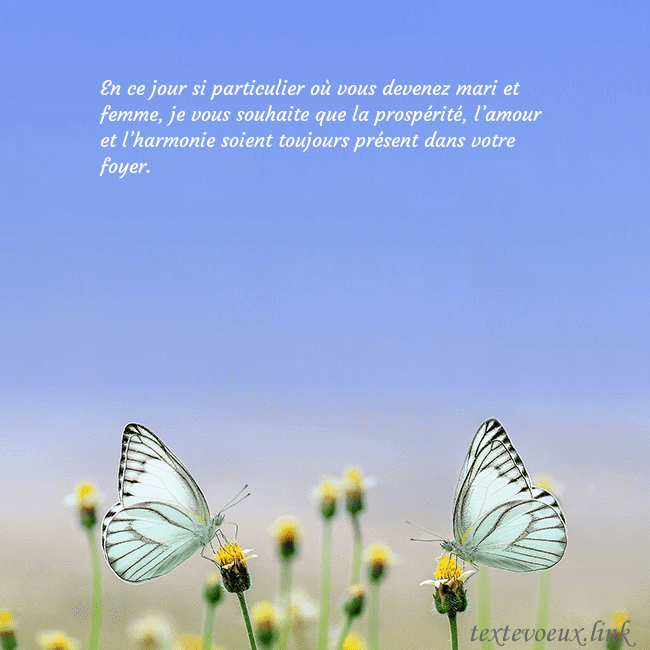 Carte de mariage avec deux papillons