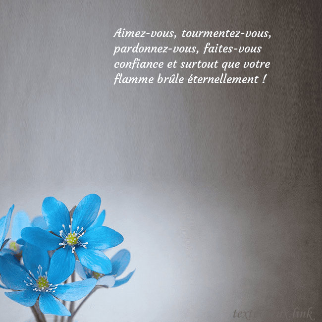Carte postale avec violettes