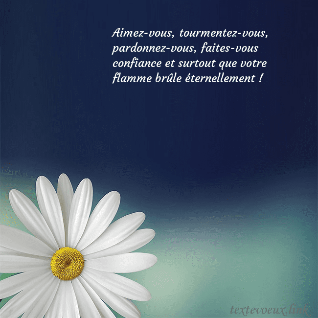 Carte postale avec une grande marguerite