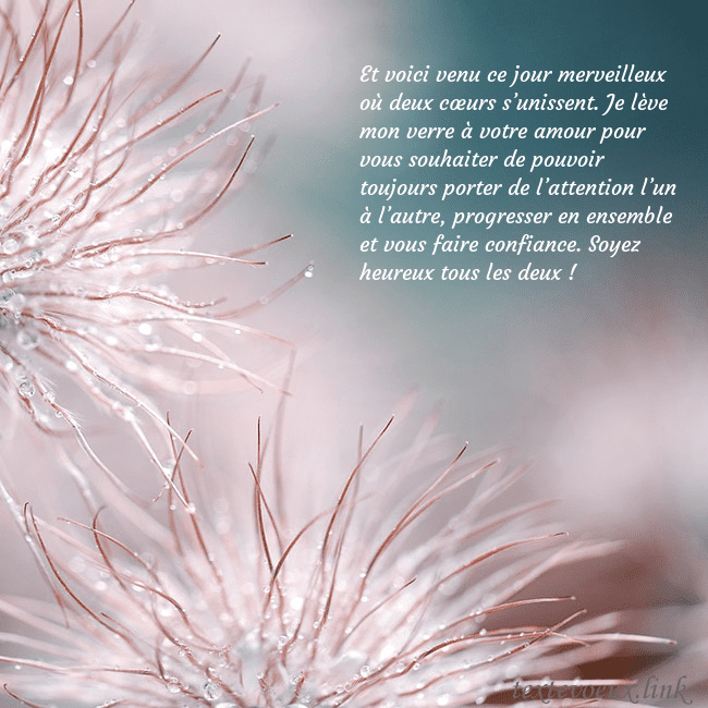 Carte postale avec des plantes duveteuses Et voici venu ce jour merveilleux où deux cœurs s’ Carte postale avec des plantes duveteuses