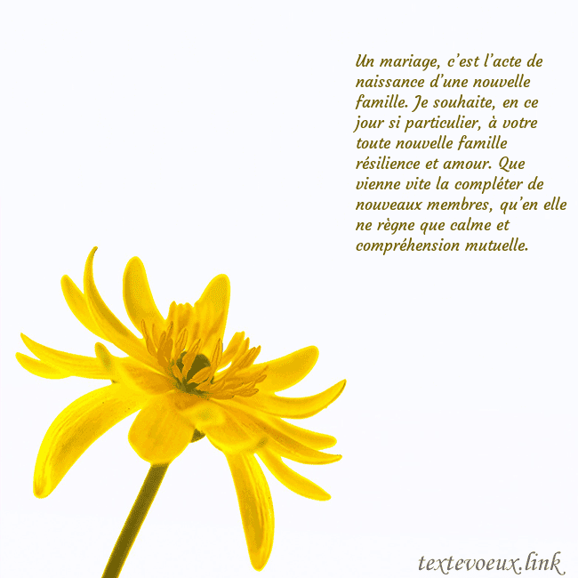 Carte de voeux avec fleur jaune Un mariage, c’est l’acte de naissance d’une nouvel Carte de voeux avec fleur jaune