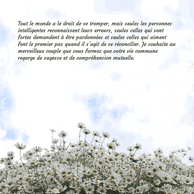 Carte de voeux avec marguerites Tout le monde a le droit de se tromper, mais seule Carte de voeux avec marguerites