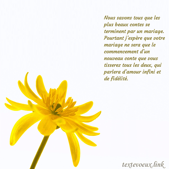 Carte de voeux avec fleur jaune Nous savons tous que les plus beaux contes se term Carte de voeux avec fleur jaune