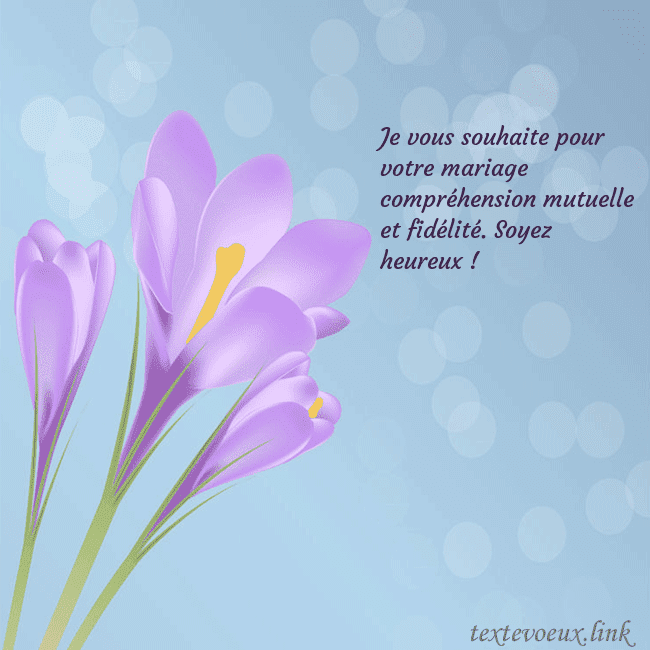 Cartes de vœux avec crocus