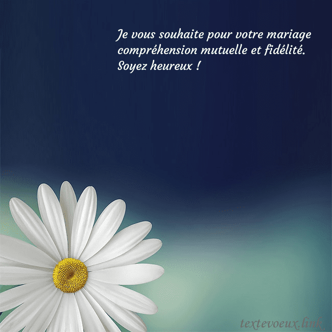 Carte postale avec une grande marguerite