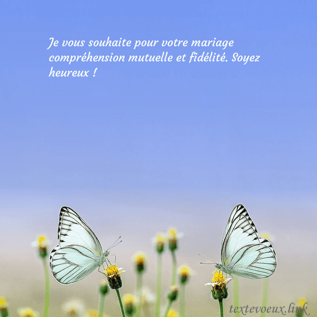 Carte de mariage avec deux papillons