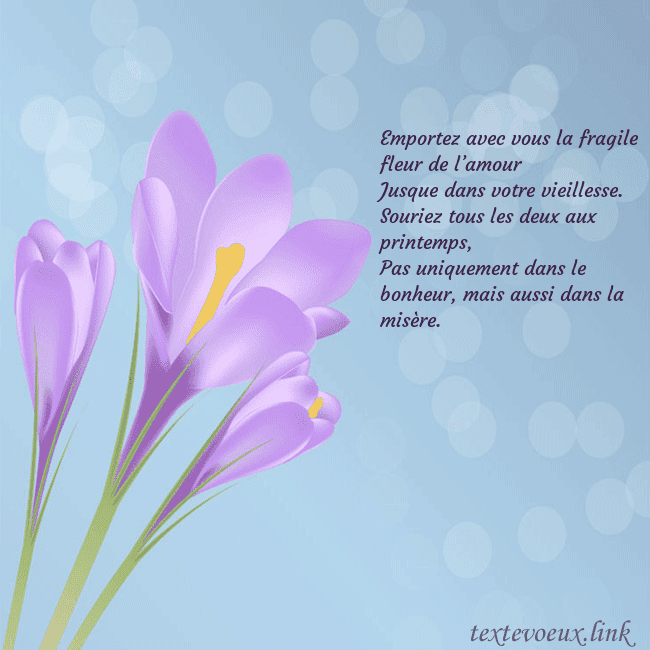 Cartes de vœux avec crocus Emportez avec vous la fragile fleur de l’amour
Ju Cartes de vœux avec crocus
