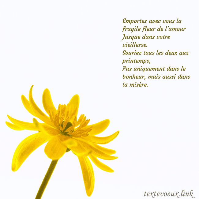 Carte de voeux avec fleur jaune Emportez avec vous la fragile fleur de l’amour
Ju Carte de voeux avec fleur jaune