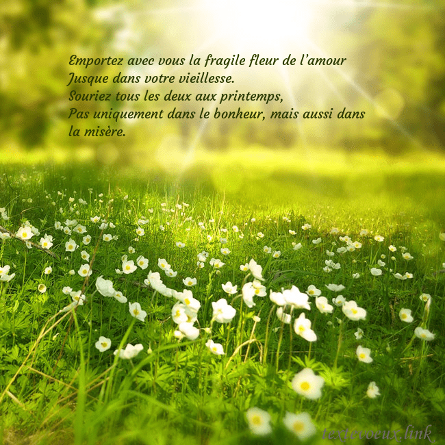Carte électronique avec soleil et prairie Emportez avec vous la fragile fleur de l’amour
Ju Carte électronique avec soleil et prairie