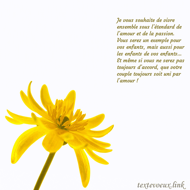 Carte de voeux avec fleur jaune Je vous souhaite de vivre ensemble sous l’étendard Carte de voeux avec fleur jaune