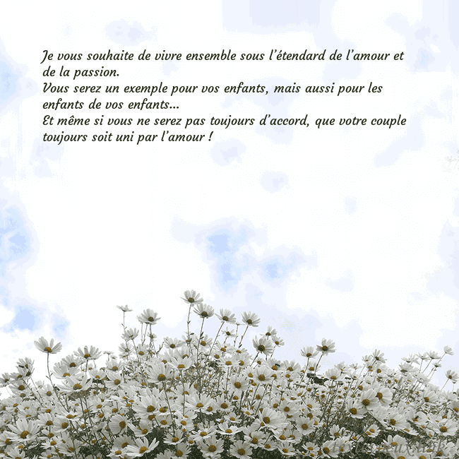 Carte de voeux avec marguerites Je vous souhaite de vivre ensemble sous l’étendard Carte de voeux avec marguerites