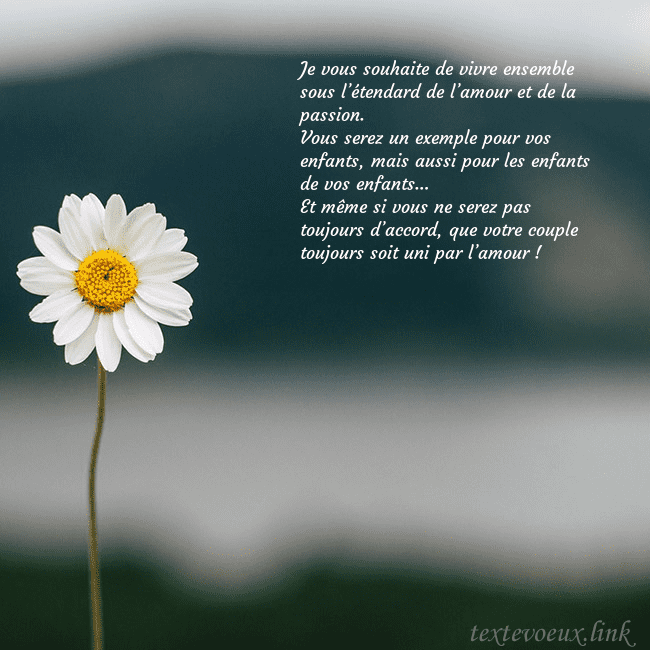 E-carte avec marguerite Je vous souhaite de vivre ensemble sous l’étendard E-carte avec marguerite
