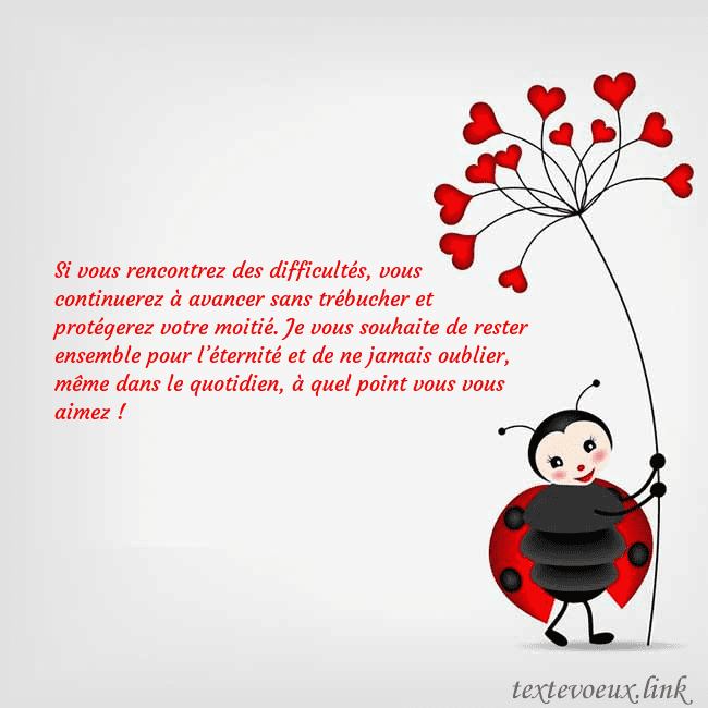 Carte de vœux avec coccinelle Si vous rencontrez des difficultés, vous continuer Carte de vœux avec coccinelle