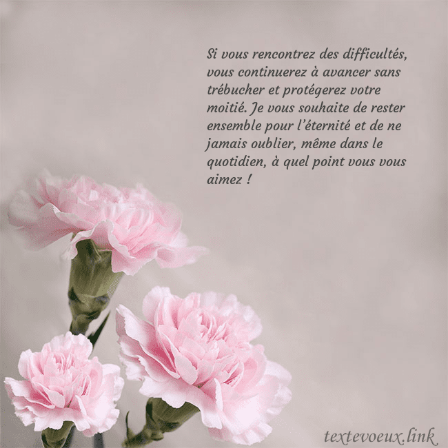 Carte de voeux avec oeillets roses Si vous rencontrez des difficultés, vous continuer Carte de voeux avec oeillets roses