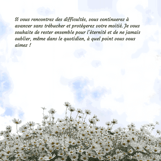 Carte de voeux avec marguerites Si vous rencontrez des difficultés, vous continuer Carte de voeux avec marguerites