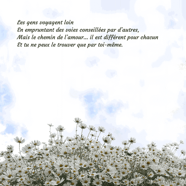 Carte de voeux avec marguerites