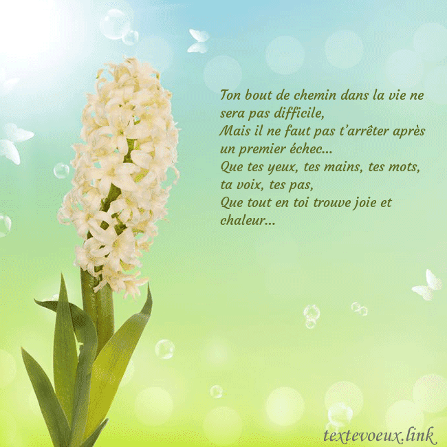 Cartes de vœux avec jacinthe