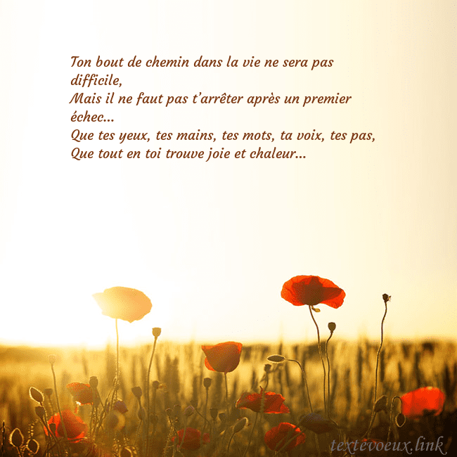 Carte postale électronique avec soleil et champ de coquelicots
