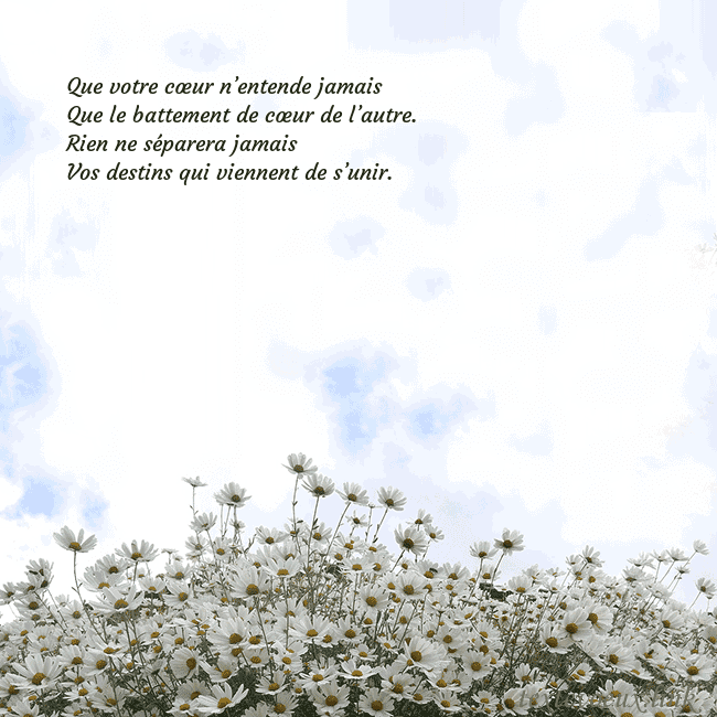 Carte de voeux avec marguerites Que votre cœur n’entende jamais
Que le battement Carte de voeux avec marguerites