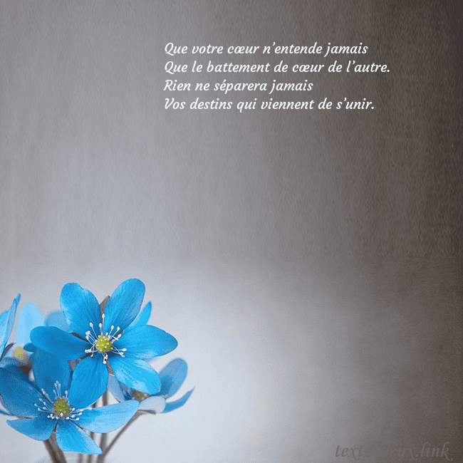 Carte postale avec violettes Que votre cœur n’entende jamais
Que le battement Carte postale avec violettes