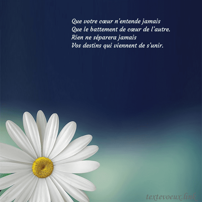 Carte postale avec une grande marguerite Que votre cœur n’entende jamais
Que le battement Carte postale avec une grande marguerite
