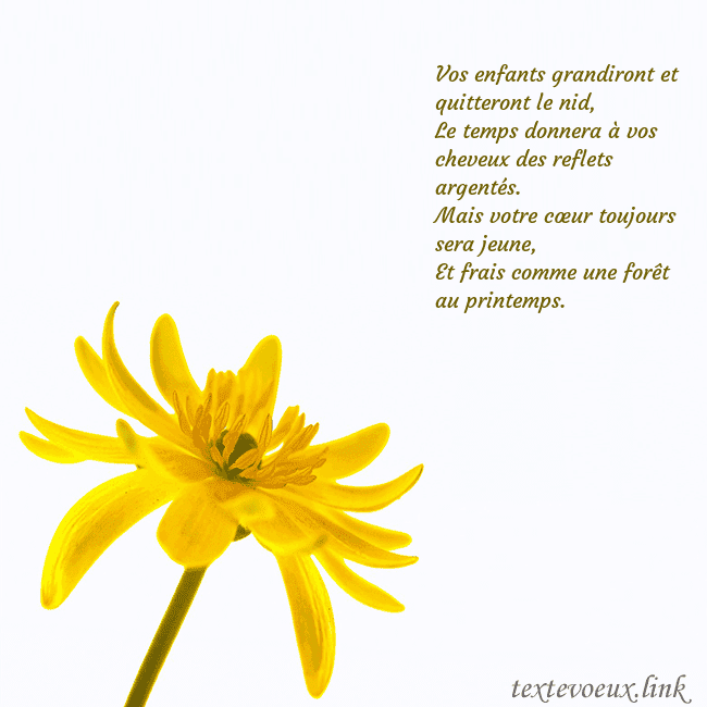 Carte de voeux avec fleur jaune Vos enfants grandiront et quitteront le nid,
Le te Carte de voeux avec fleur jaune