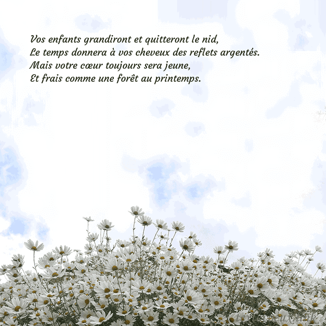 Carte de voeux avec marguerites Vos enfants grandiront et quitteront le nid,
Le te Carte de voeux avec marguerites