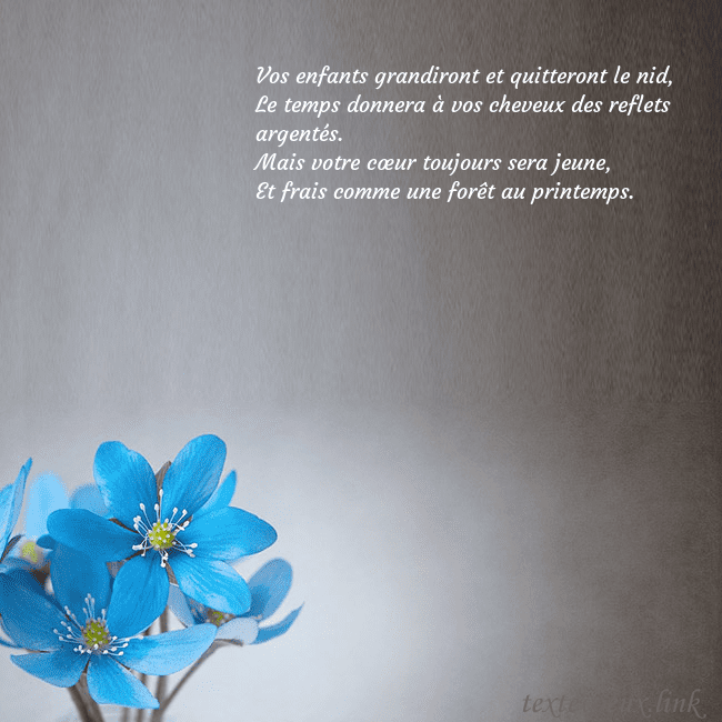 Carte postale avec violettes Vos enfants grandiront et quitteront le nid,
Le te Carte postale avec violettes
