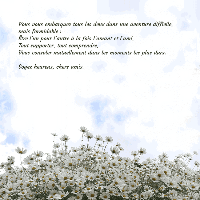 Carte de voeux avec marguerites Vous vous embarquez tous les deux dans une aventur Carte de voeux avec marguerites