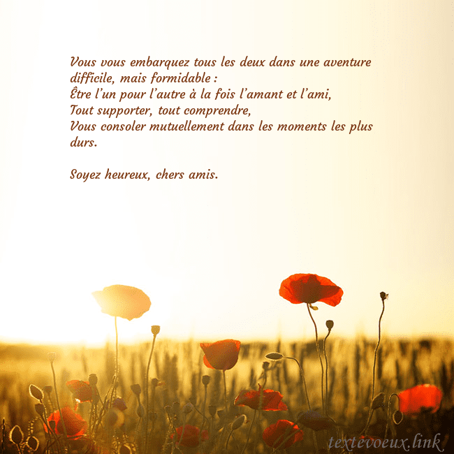 Carte postale électronique avec soleil et champ de coquelicots Vous vous embarquez tous les deux dans une aventur Carte postale électronique avec soleil et champ de coquelicots