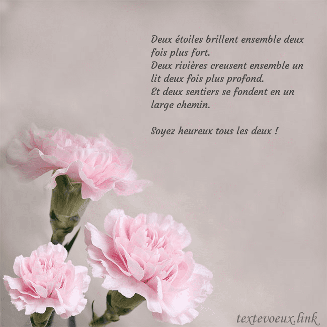Carte de voeux avec oeillets roses Deux étoiles brillent ensemble deux fois plus fort Carte de voeux avec oeillets roses