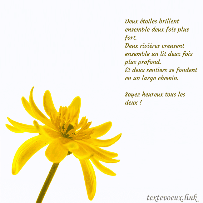 Carte de voeux avec fleur jaune Deux étoiles brillent ensemble deux fois plus fort Carte de voeux avec fleur jaune