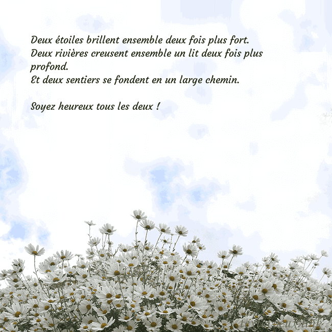 Carte de voeux avec marguerites Deux étoiles brillent ensemble deux fois plus fort Carte de voeux avec marguerites