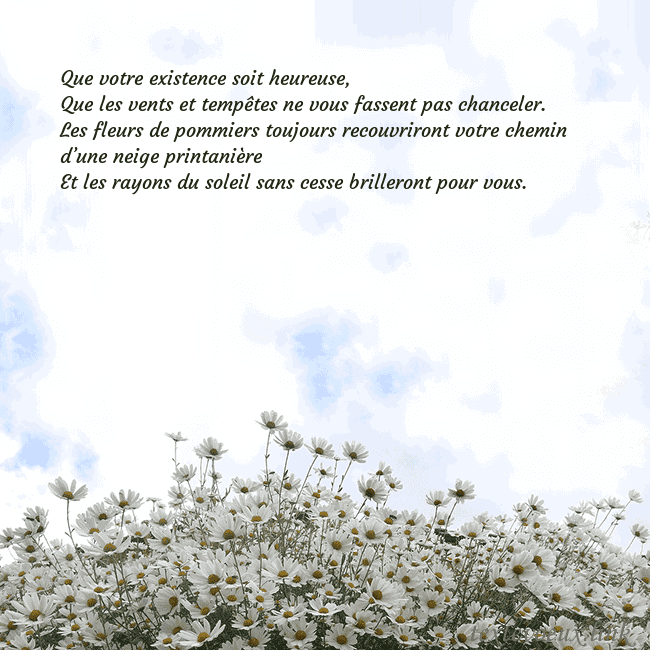 Carte de voeux avec marguerites Que votre existence soit heureuse,
Que les vents e Carte de voeux avec marguerites