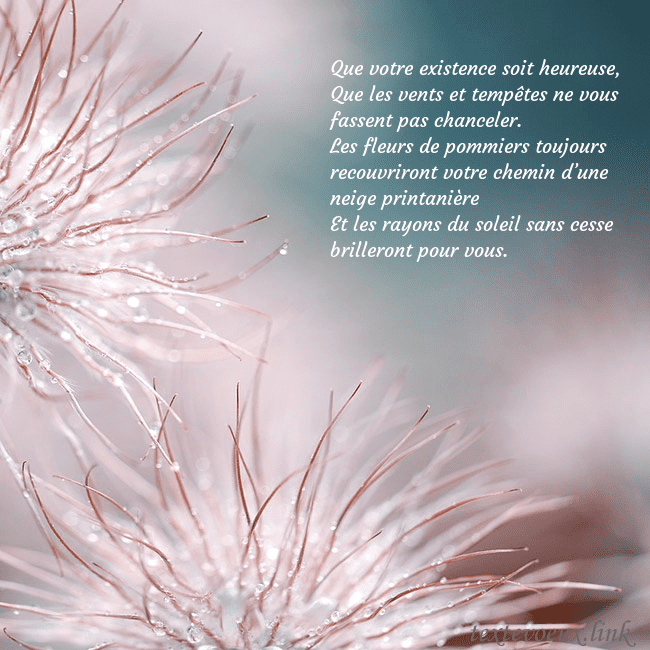 Carte postale avec des plantes duveteuses Que votre existence soit heureuse,
Que les vents e Carte postale avec des plantes duveteuses