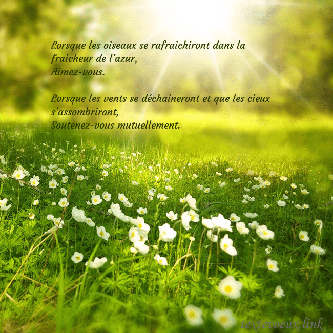 Carte électronique avec soleil et prairie Lorsque les oiseaux se rafraichiront dans la fraic Carte électronique avec soleil et prairie