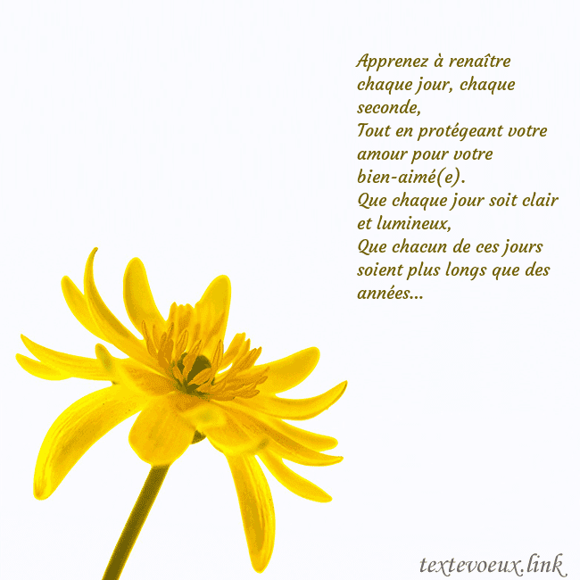 Carte de voeux avec fleur jaune Apprenez à renaître chaque jour, chaque seconde,
T Carte de voeux avec fleur jaune
