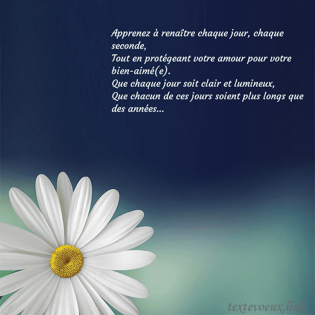 Carte postale avec une grande marguerite Apprenez à renaître chaque jour, chaque seconde,
T Carte postale avec une grande marguerite