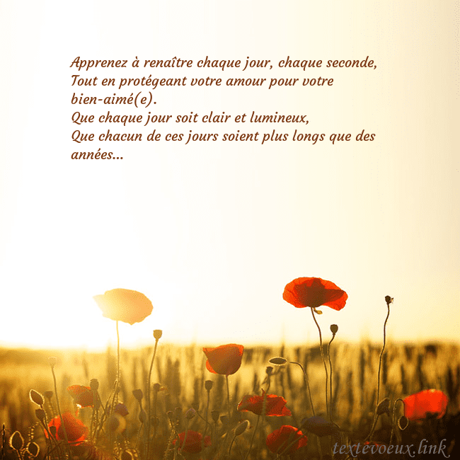 Carte postale électronique avec soleil et champ de coquelicots Apprenez à renaître chaque jour, chaque seconde,
T Carte postale électronique avec soleil et champ de coquelicots