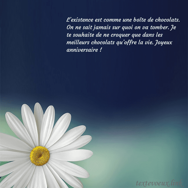 Carte postale avec une grande marguerite