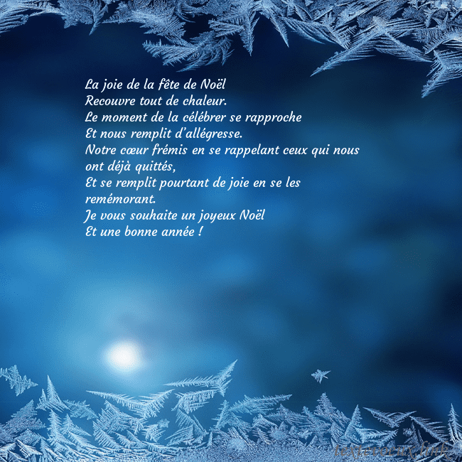 Carte de vœux avec du givre La joie de la fête de Noël
Recouvre tout de chale Carte de vœux avec du givre