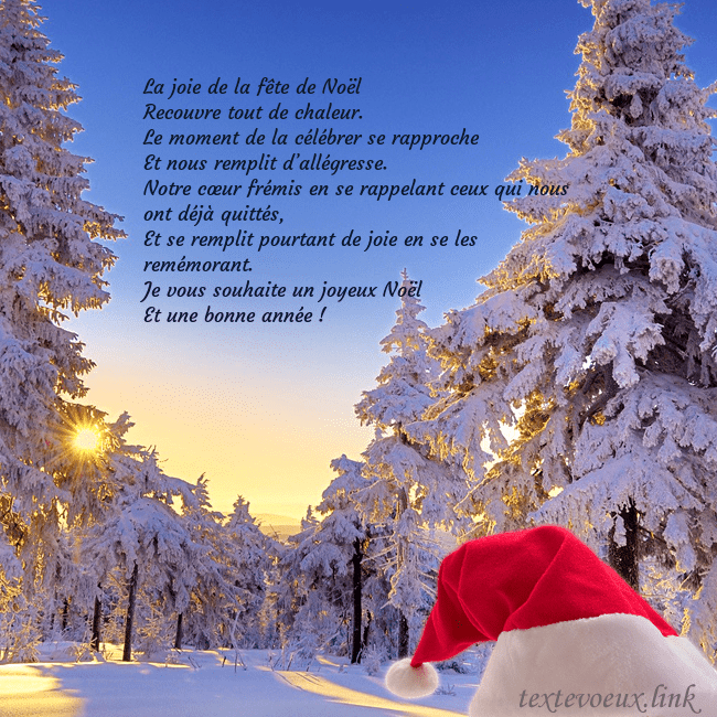 Carte de vœux avec une forêt enneigée La joie de la fête de Noël
Recouvre tout de chale Carte de vœux avec une forêt enneigée