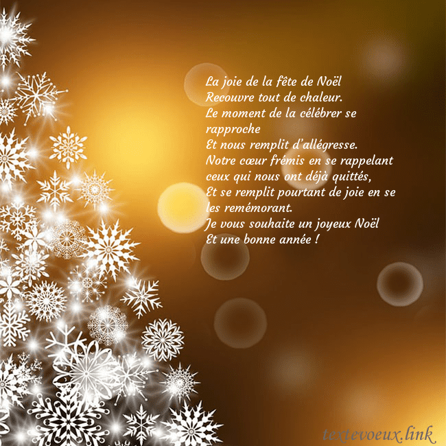 Carte postale avec un sapin de Noël fait de flocons de neige La joie de la fête de Noël
Recouvre tout de chale Carte postale avec un sapin de Noël fait de flocons de neige