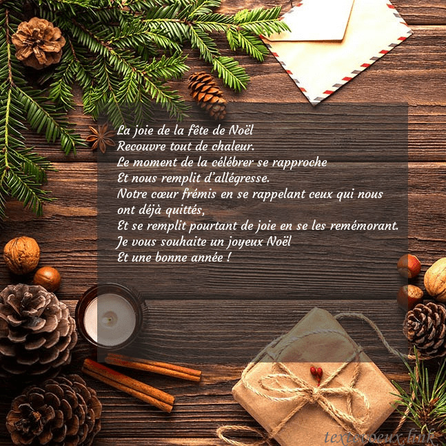 Carte de Noël avec pommes de pin et branche de sapin