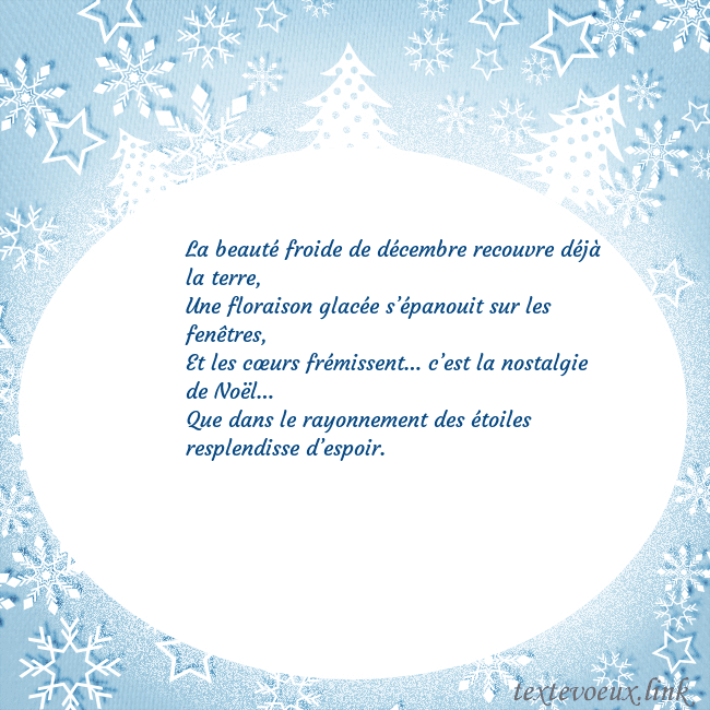 Carte de Noël avec des arbres de Noël blancs et des flocons de neige La beauté froide de décembre recouvre déjà la terr Carte de Noël avec des arbres de Noël blancs et des flocons de neige