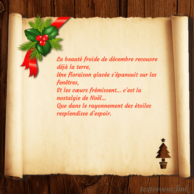 Carte postale du Nouvel An avec des baies et un arbre de Noël La beauté froide de décembre recouvre déjà la terr Carte postale du Nouvel An avec des baies et un arbre de Noël
