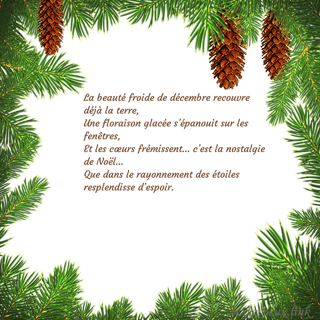 Carte postale avec des cônes d'épinette La beauté froide de décembre recouvre déjà la terr Carte postale avec des cônes d'épinette