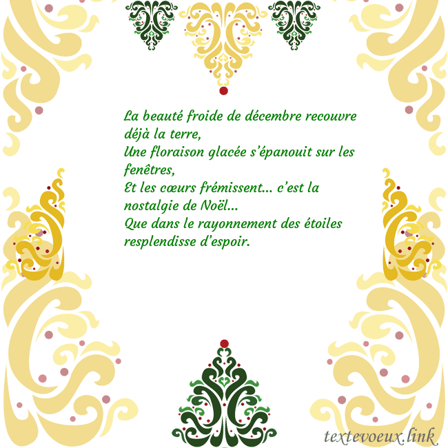 Carte de vœux avec des décorations de Noël La beauté froide de décembre recouvre déjà la terr Carte de vœux avec des décorations de Noël