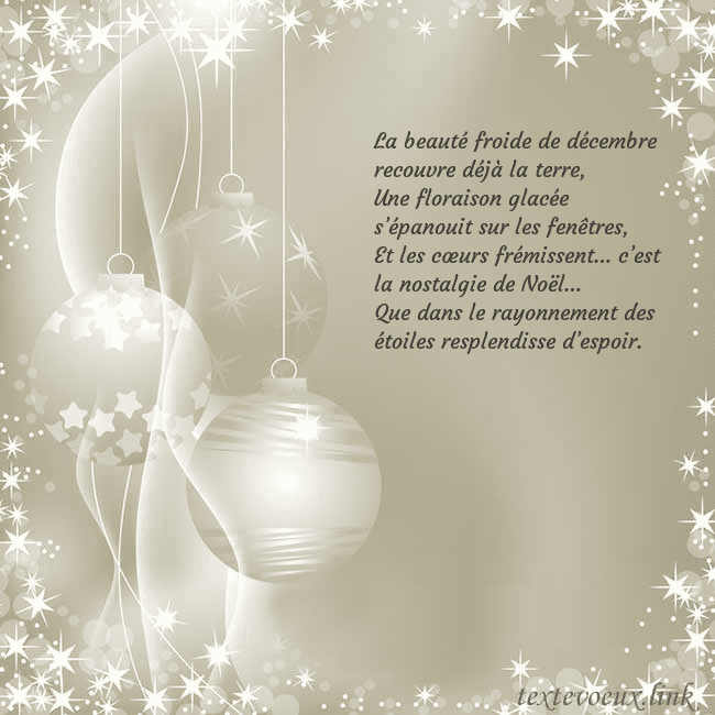 Carte de vœux avec décorations d'arbre de Noël La beauté froide de décembre recouvre déjà la terr Carte de vœux avec décorations d'arbre de Noël