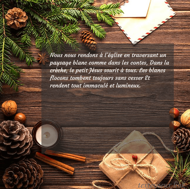 Carte de Noël avec pommes de pin et branche de sapin